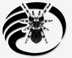 Dearge-logo.jpg