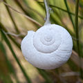 Pellenes 20110525 0013.jpg
