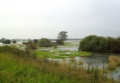 Gewässerufer