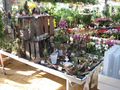 typischer Auffindeort im Baumarkt