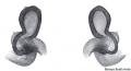 Vulva dorsal