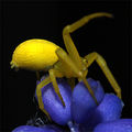 2012-04-09Mis vat03.jpg