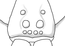 Augenfeld lycosidae.png